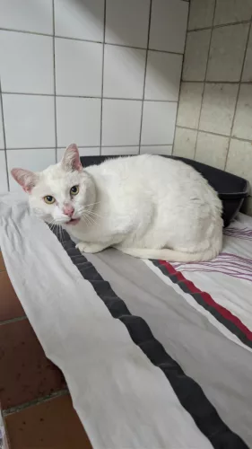 Beitragsbild Fundtier