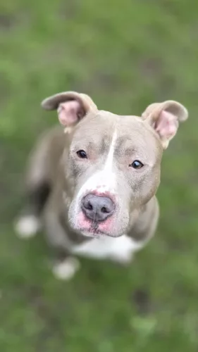 Beitragsbild ehemaliges Tier