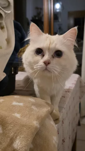 neuestes Tier in der Vermittlung