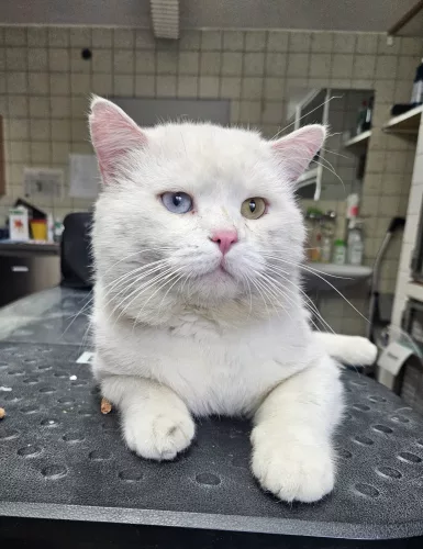 Beitragsbild Fundtier